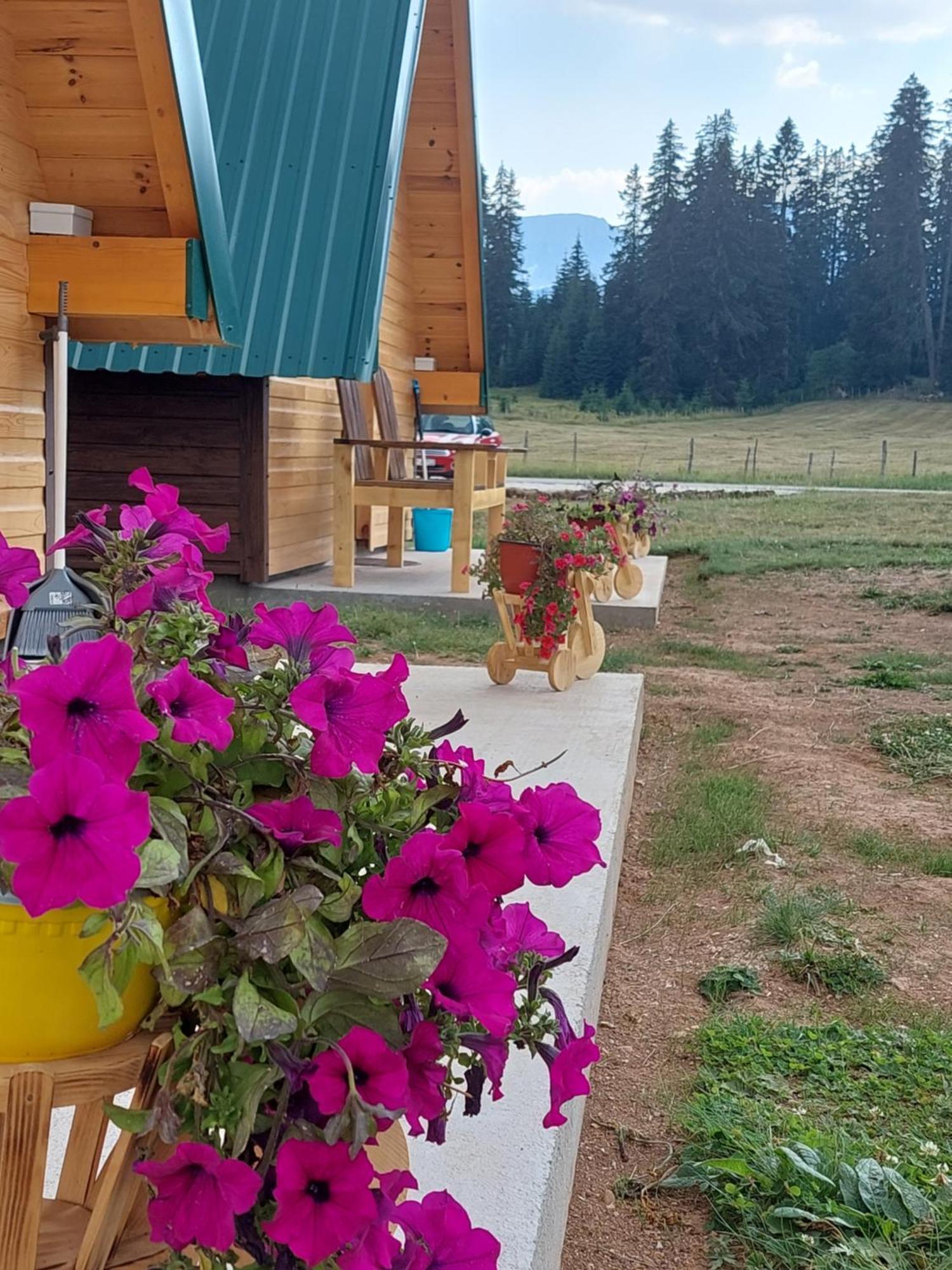 Sumski Raj Žabljak Oda fotoğraf
